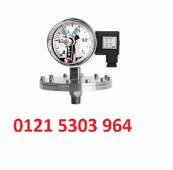 Đồng hồ đo áp suất WISE P501 P502 (Đại lý) TMP Việt Nam